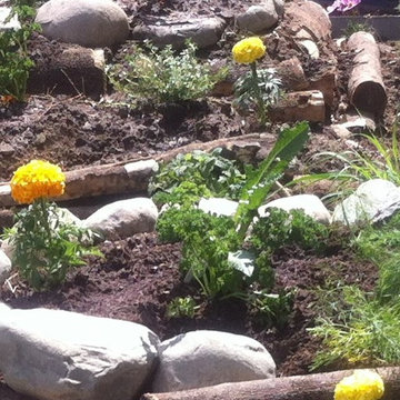 Front Yard Wildlife and Food Garden