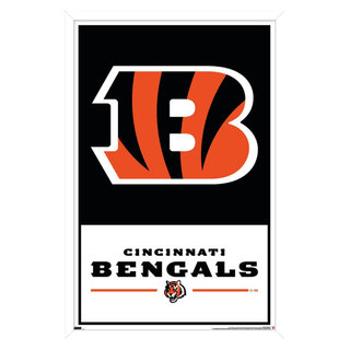 Cincinnati Bengals Canvas Prints & Wall Art for Sale - Fine Art