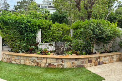 Photo of a small tropical front yard garden in Brisbane.