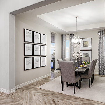 Raven model home in Arizona