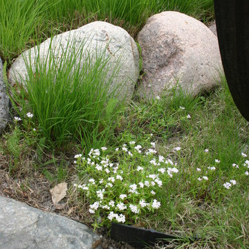 Prairie Gardens