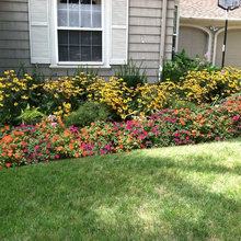 debora_hoover's ideas