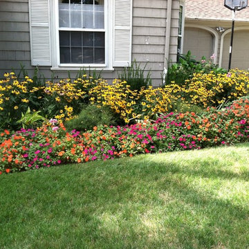 seasonal color