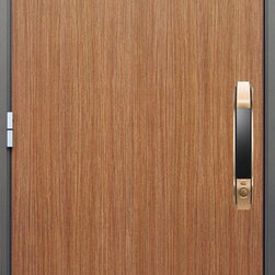 Modern Entry Doors Series - Products