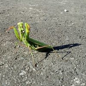 Foto von Rick Sturgeon