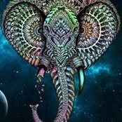 Gobind Grewal's photo