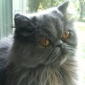 Debbie Nelson's photo