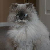 Rosilend Lawson's photo
