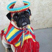 Tomas Barreto's photo