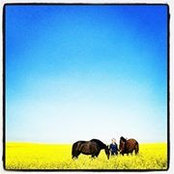 Ellicia Edgar's photo