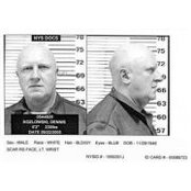 Joe Curran's photo