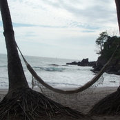 Foto de Susie Chisolm