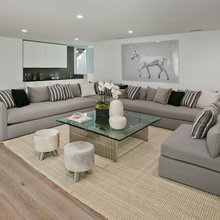 Living Room Ideas