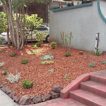 Planting, Drip & Bark in Oakland CA