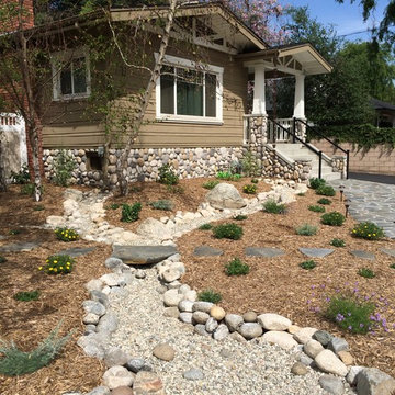 Rain garden