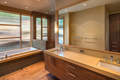 Design ideas for a modern bathroom in Sacramento.