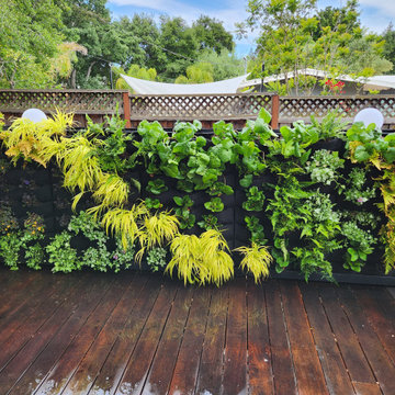 Vertical Garden Wall