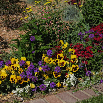 Spring Flower Bed