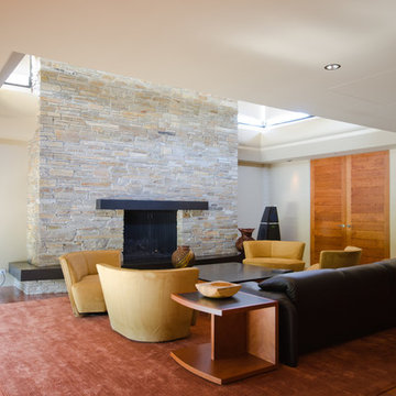 Modern Transitional Living Room