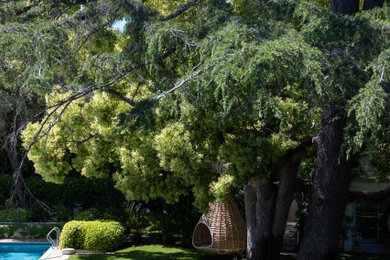 Exemple d'un jardin tendance.