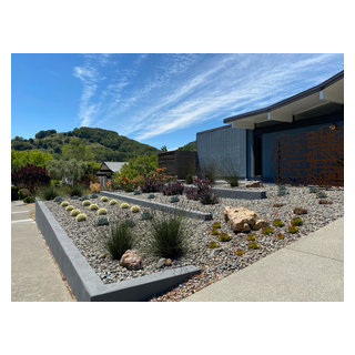 San Rafael Eichler - Mid-Century Modern Back & Front Landscape Remodel ...