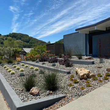San Rafael Eichler - Mid-Century Modern Back & Front Landscape Remodel