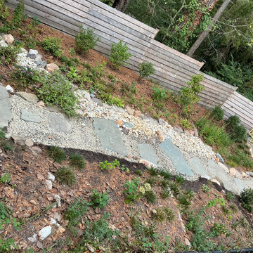 Conservation and rain gardens landscape