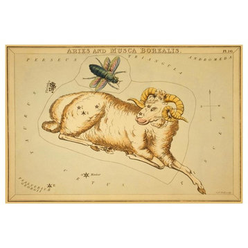 "Aries and Musca Borealis, 1825" Paper Print by Jehoshaphat Aspin, 20"x14"