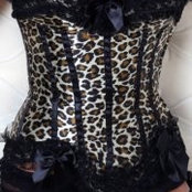SETFYRE Rayne's photo
