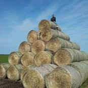 Thomas Brusss foto