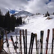 Chad Johnson's photo