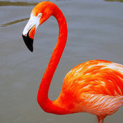 Daiana Dacak's photo
