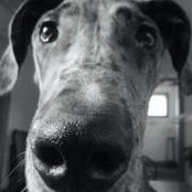 Meredith Culberson's photo