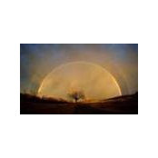 Andrea Nicole's photo