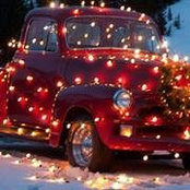 Lori Quam Bremer's photo