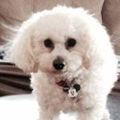 Tami Radcliff Anderson's photo