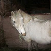 Ramona Aarvold's photo