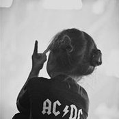 Tara Evensen's photo