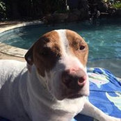 Joe Basham's photo