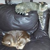 Therese Banks's photo