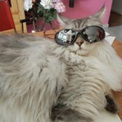 Charlotte Keutel's photo