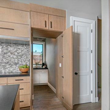 Modern Craftsmen in Almaden Valley