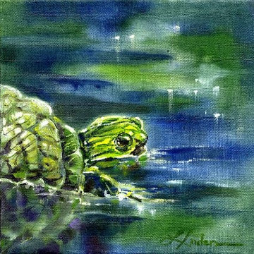 Small Creatures Portfolio