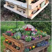 Patio Ideas
