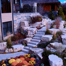 Exterior Ideas