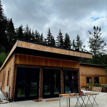 Aging cedar (wood) siding with brand-new cedar plank