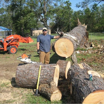 Tree Solutions