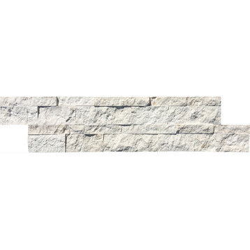 FOSSIL Limestone 6x24 Ledger Panel, Set of 32
