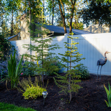 Mid-Century Backyard