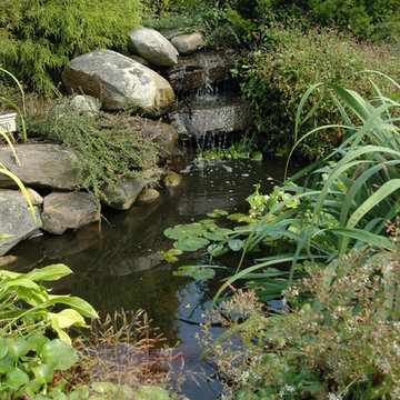 Ponds